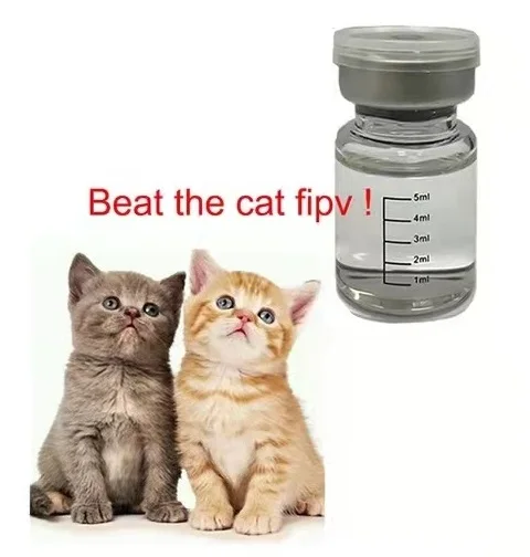 Consulting service for FIP prevention