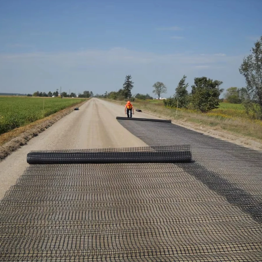 Cheap Price geogrid ground grid gravel stabilizer