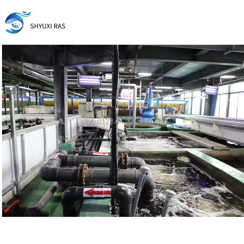 
SHYUXI RASIndoor circulating water breeding system water treatment machinery for indoor high density seawater prawn breeding 