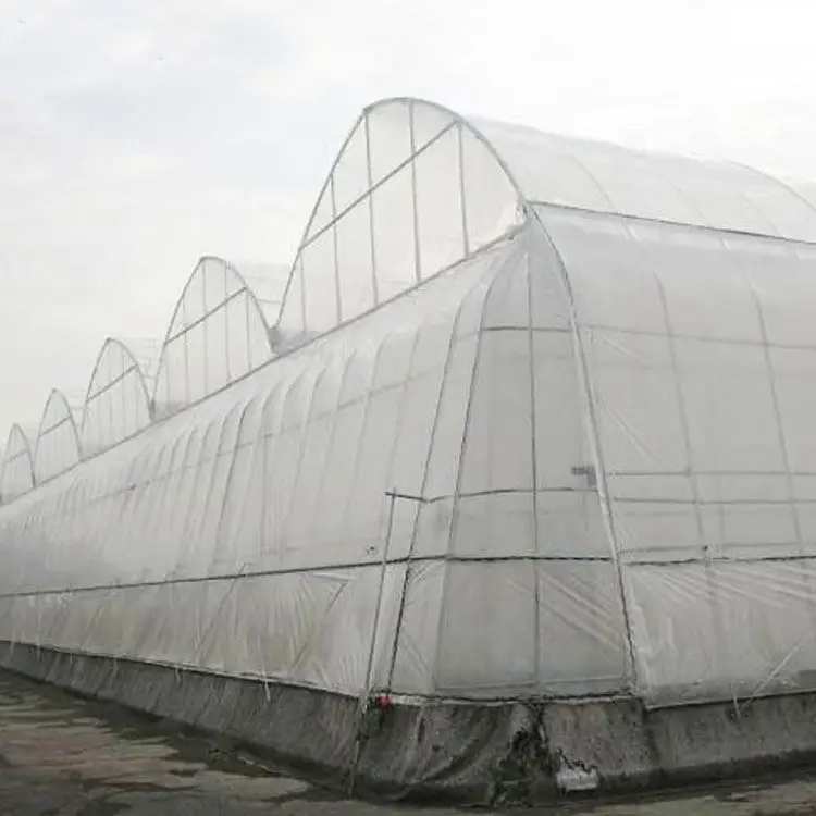Good quality UV resistance 6 mil thickness greenhouse film,3 layers blow molding agriculture film,clear plastic sheet for plant