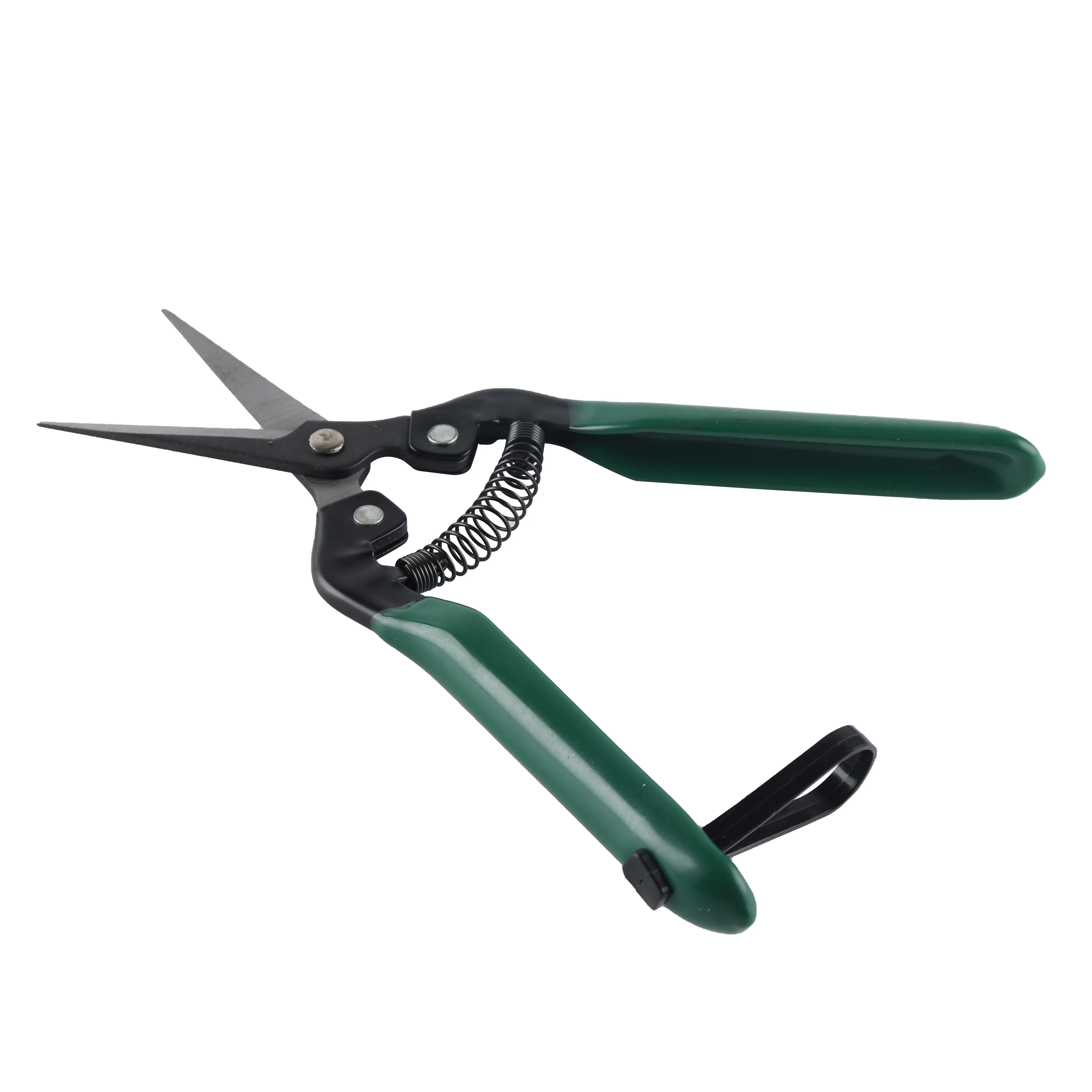 Factory Small Plant Tools Grape Fruit Orchard Grafting Trimming Garden Scissors for Flower Iron Powder Coating Rubber 10 Pcs