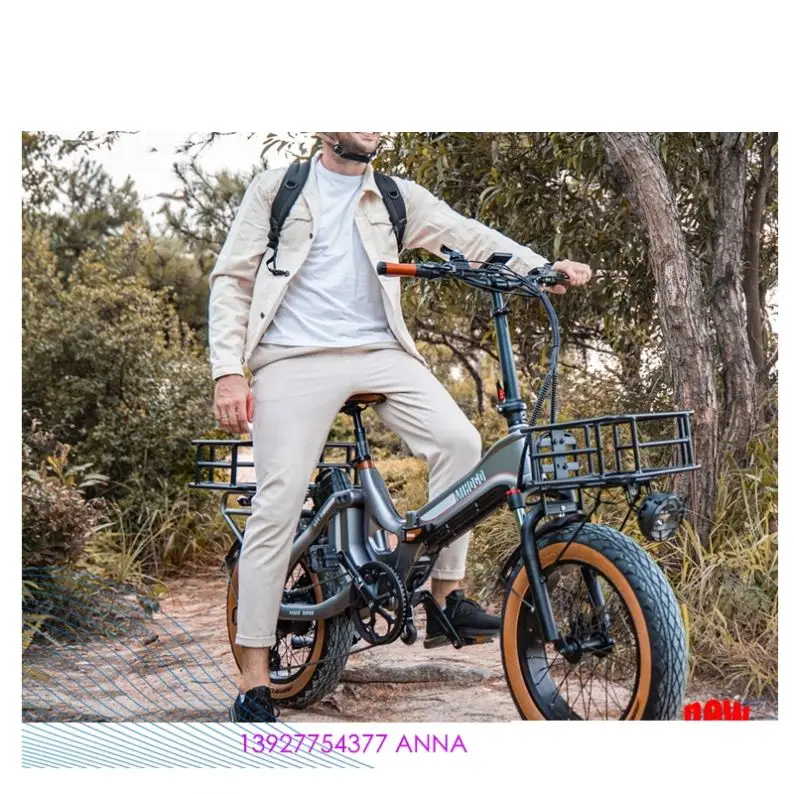 Amazon Promax Motor Wall Frame Power Battery Hot Sale 20inch 4.0 Bike Lithium Battery 48V Rear Hub Motor Folding Electric Bike