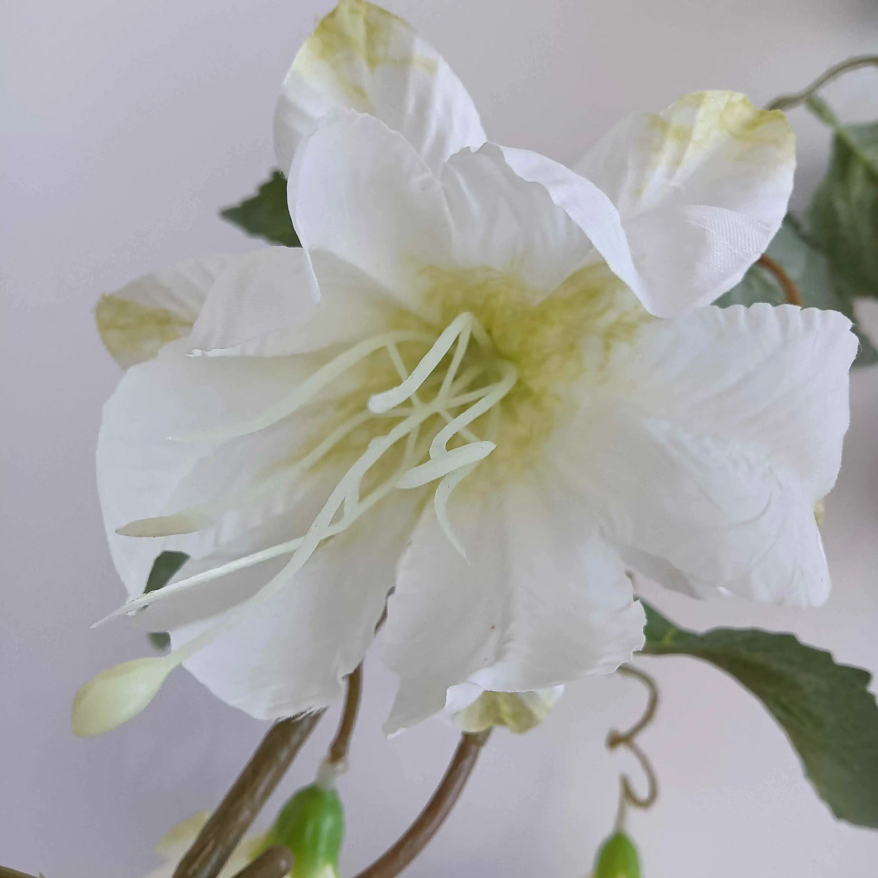 EG-A028 5 heads artificial Chinese lantern flower silk Decorative arrangement simulation flowers Ceiling decoration