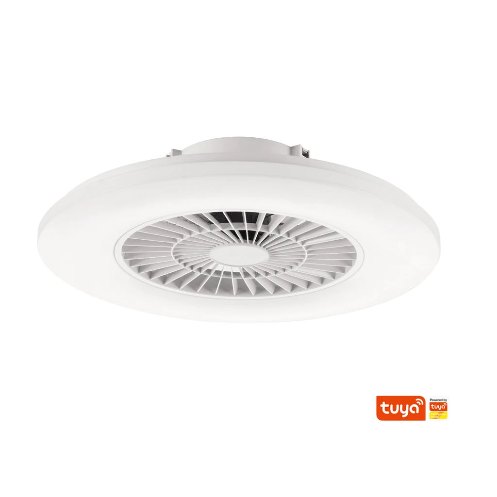 Китайский профессиональный качественный простой потолочный вентилятор с умным управлением, современный светодиодный светильник