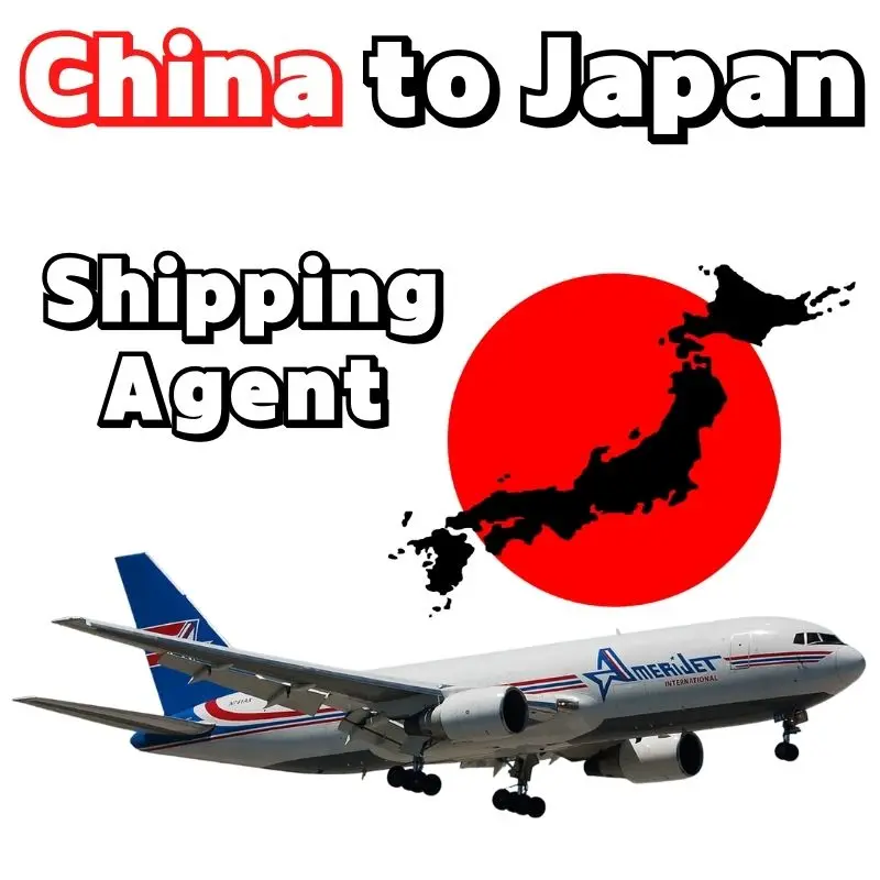 Shenzhen Cargo Guangzhou Qingdao Sea Transport Shipping Forwarding To Japan Yokohama Iraq Brazil Sea Freight