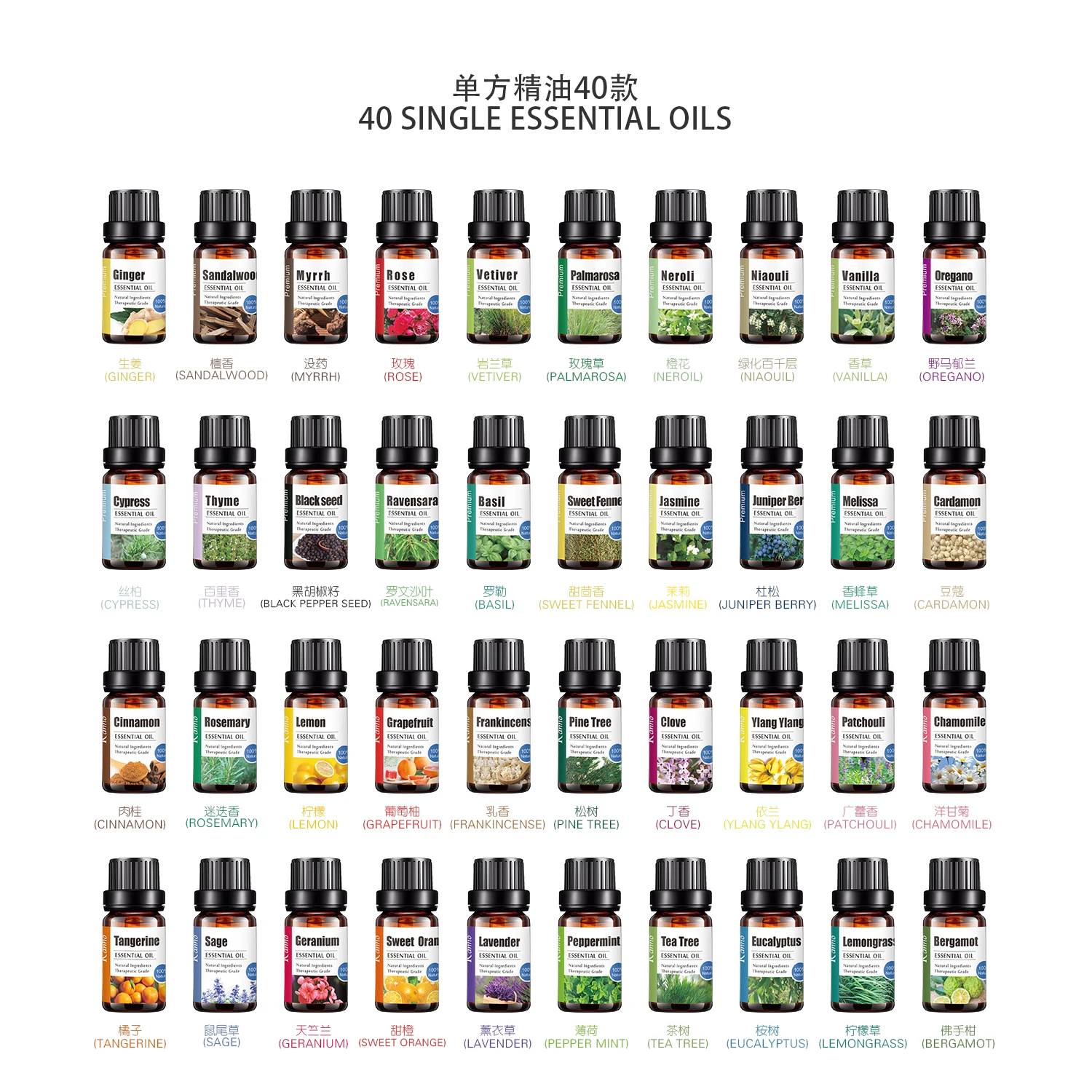 Kanho High Quality 10ml Ylang Pure Ginger Tea Tree Peppermint Rosemary Rose Aroma Essential Oil Natural Plant Skin Care Massage