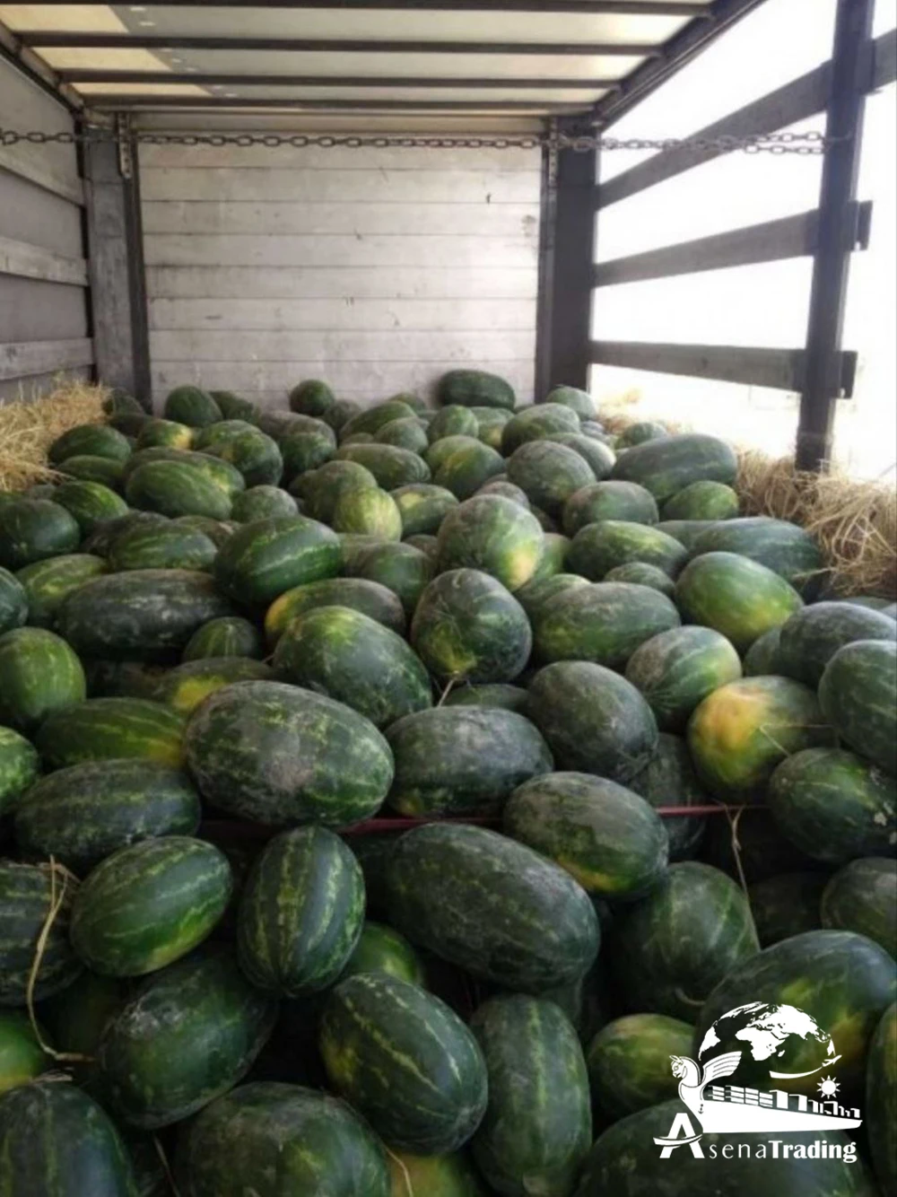 The most popular wholesale Premium Quality Box Packaging Great Fresh Sweet Juicy Natural Fresh Watermelon