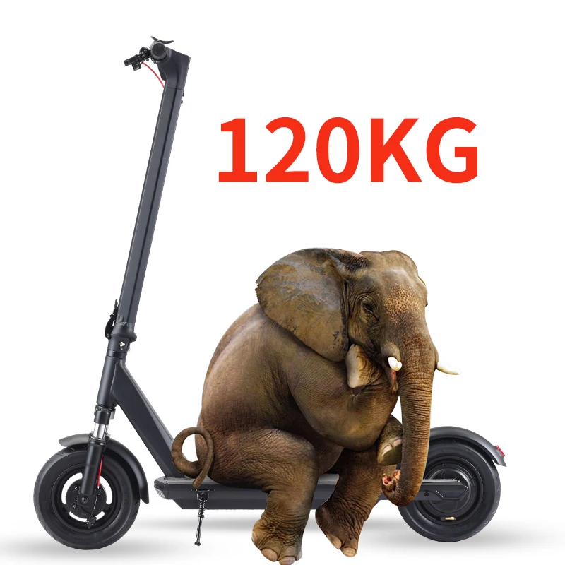 10inch Tire  2 Wheel Racing  Electric Scooter 10ah Battery 350W Motor  For Sale