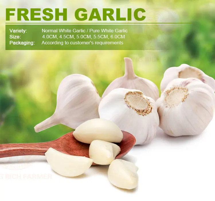 garlic.jpg