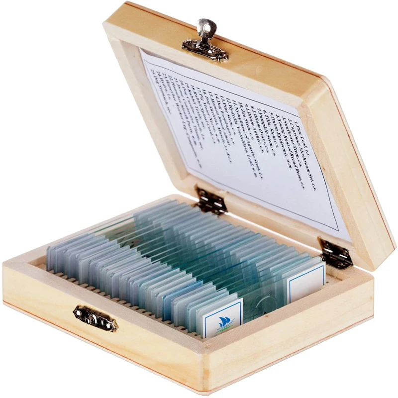 High Quality Mixed 25 pcs Plant Animal Microscope Prepared Slides In Wooden Box