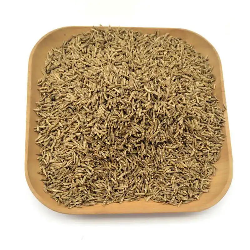 X007 Xiao hui xiang zi chinese green food spice Fennel seeds for food