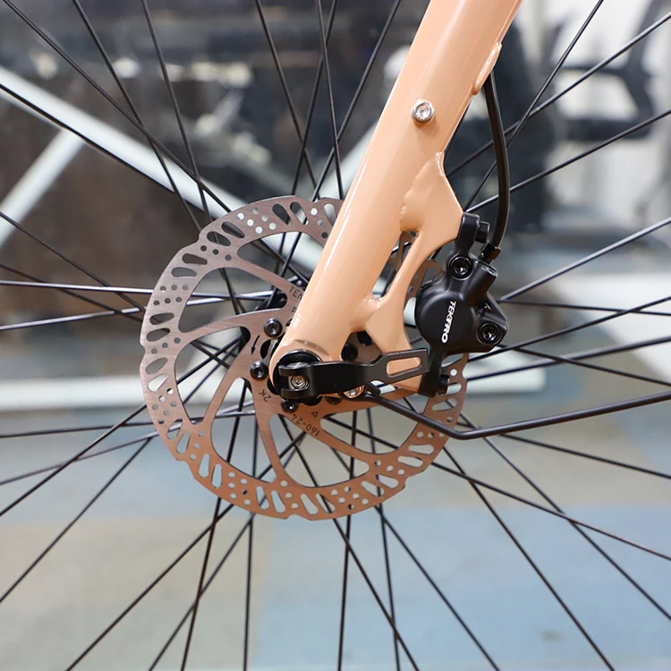 Ansbern New Hidden Battery Belt Drive E Bicycle 700C 6061 Aluminum 36v 250w Electric Bike Urbon E Bike