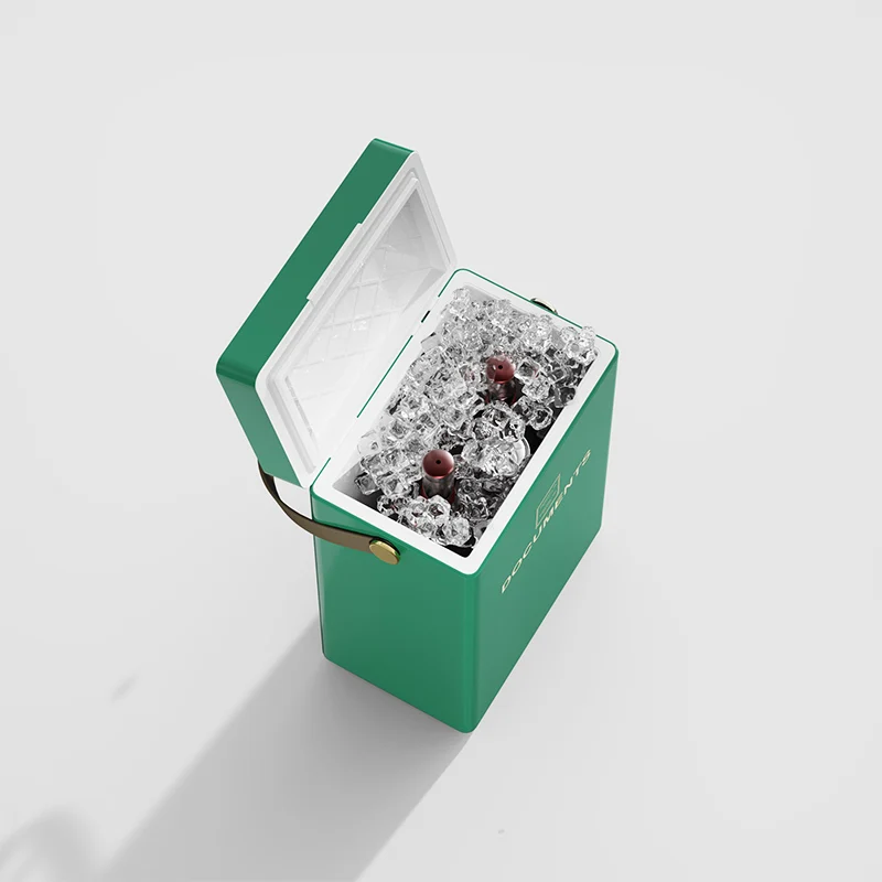 New Design Camping Portable Plastic OEM Hard Insulated Mini Ice Chest Hard Cooler Box