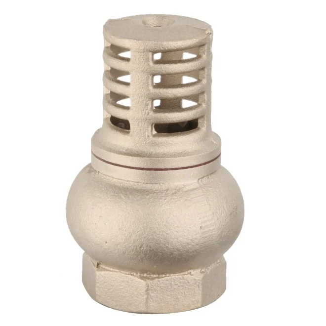 DN15 brass check valve with  Y type strainer