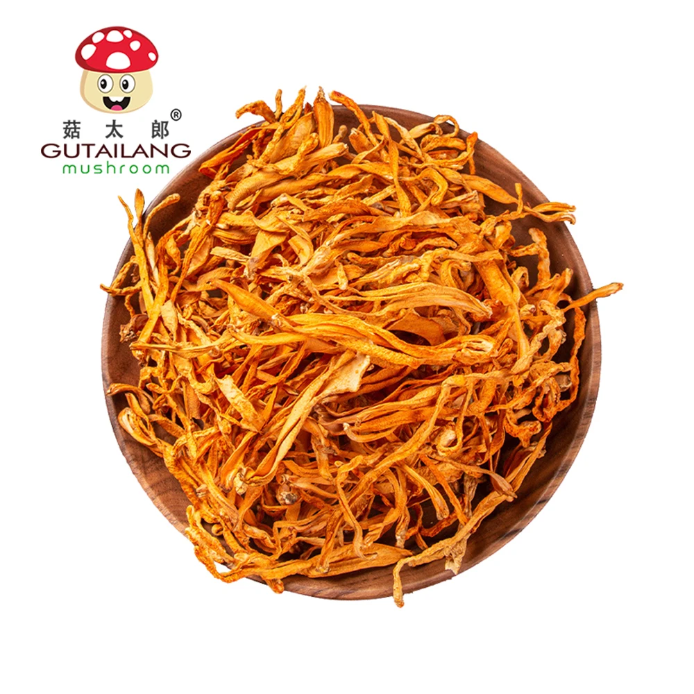 Factory Direct Healthy  Needle For Mushrooms Dried Cordyceps Mushroom Dried Coedyceps Flowest Dehydrated Militaris