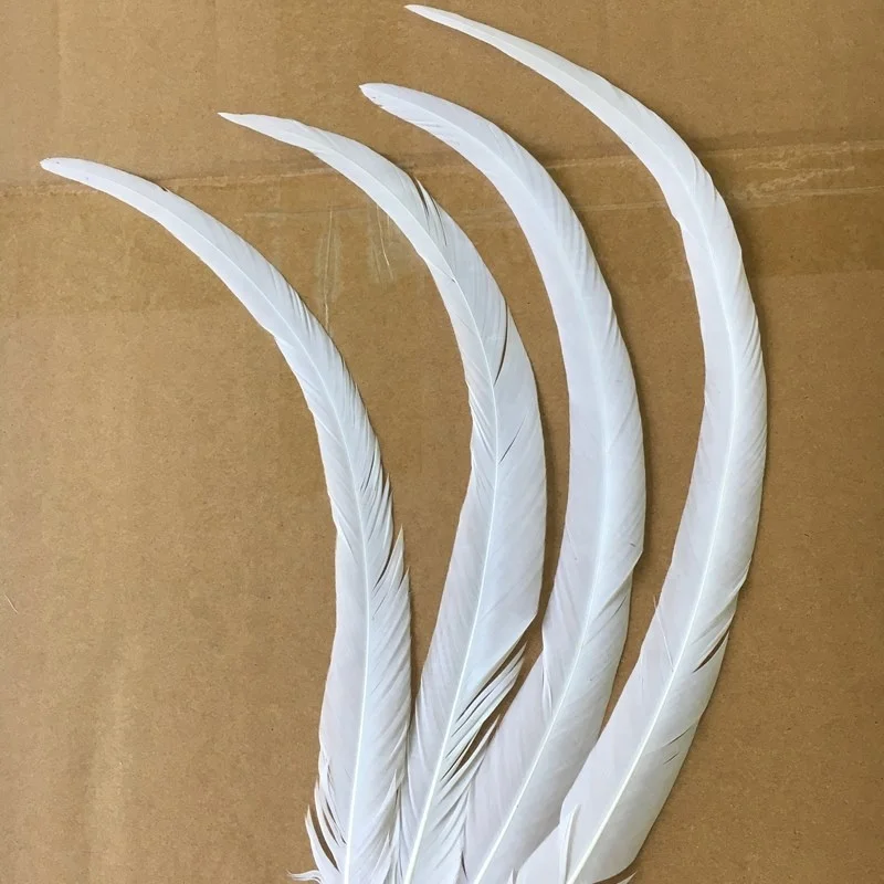 Wholesale Super White 40-45cm Rooster Tails Feather Chinese Coque Feathers For Carnival Costume Samba Fly Tying