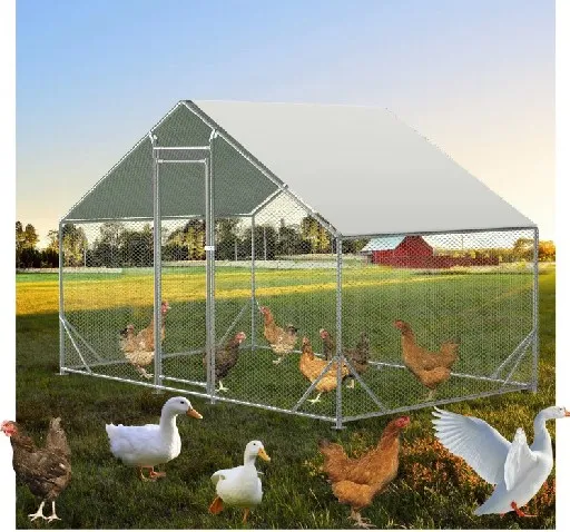 Galvanized Steel Chicken Coops for Outdoor Backyard Farm Garden