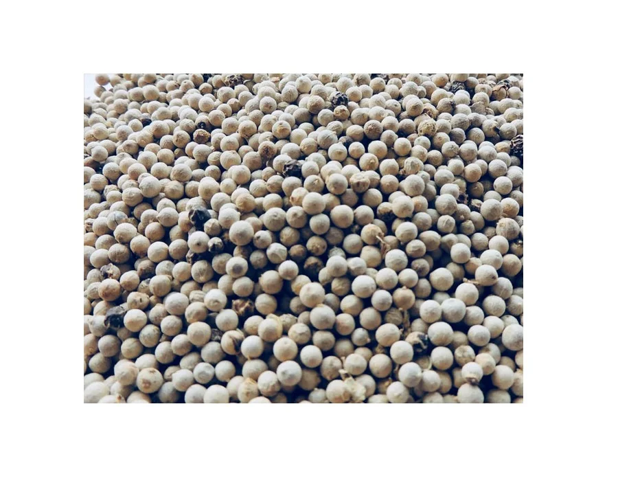 Black Pepper made in Vietnam! Wholesale for High Quality Black Pepper Spices! Food Seasoning Black Pepper