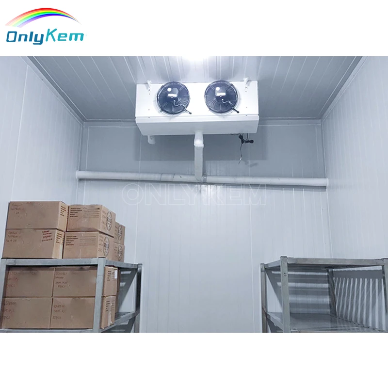 Professional Refrigeration Unit Cold Storage Industrial Freezer Price for Sea Fish