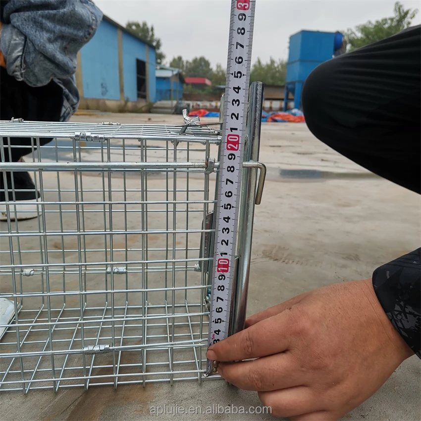 Hot Sale Collapsible Galvanize Trap Cage Catch Snake Cat Mouse Dog Fox Cage Trap