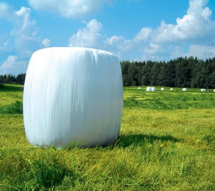 5 слоев силосная пленка, силоса листа