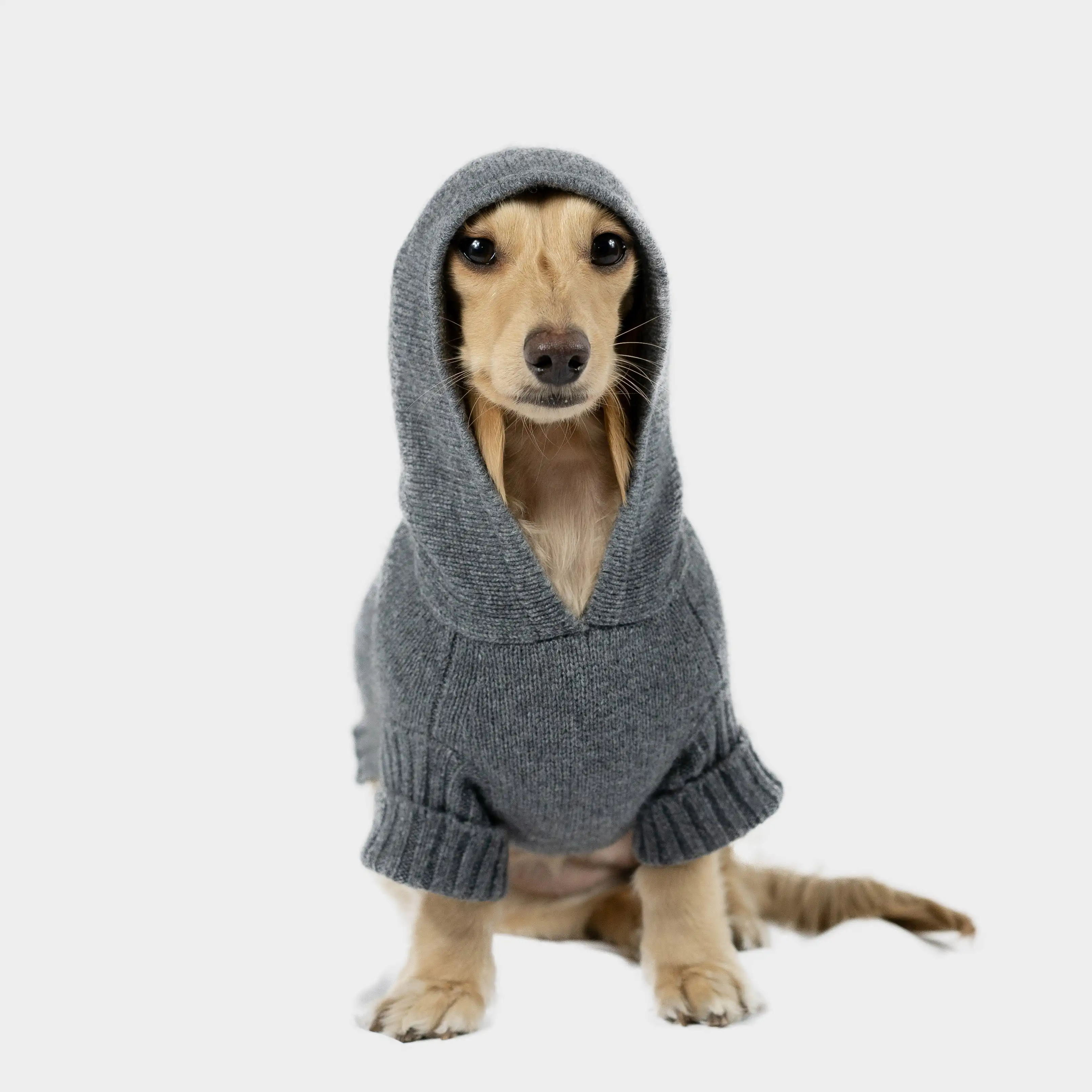 Unique Design Hot Sale Wholesale High Quality Free Knitting Dog Sweater Patterns Knitted Cashmere Dog Sweaters