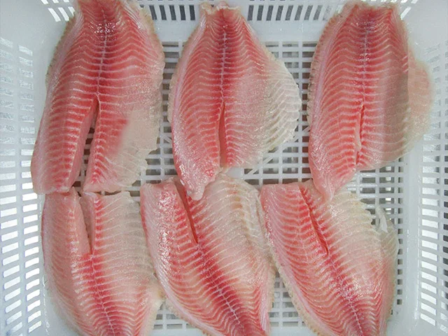 Frozen Black Tilapia Fillet Fish With Factory Price