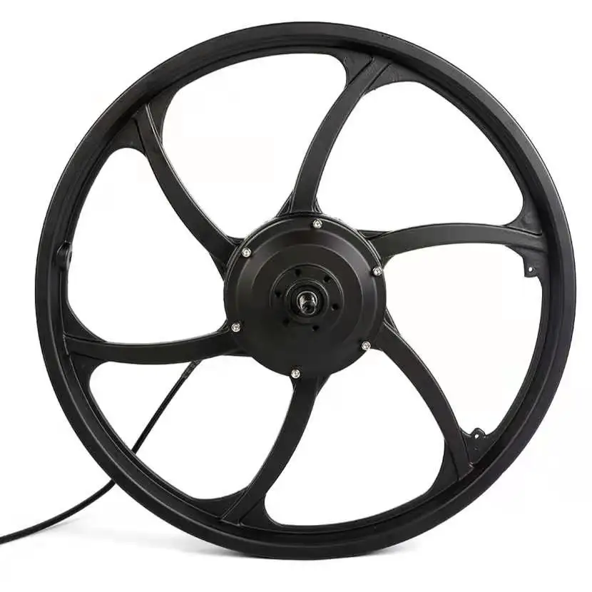  Dgwz 20 дюймов 24/36V/48V 250w350W бесколлекторный шестереночный мотор для электрического велосипеда Электрический эпицентра деятельности колеса с переднее