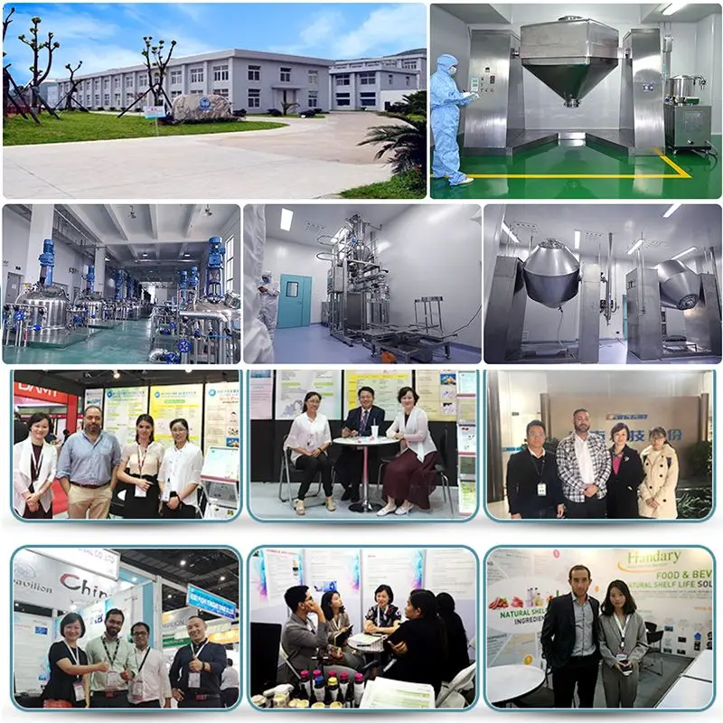 Wholesale Plant Extract Hypericum Extract Powder Hypericin St John S Wort Extract