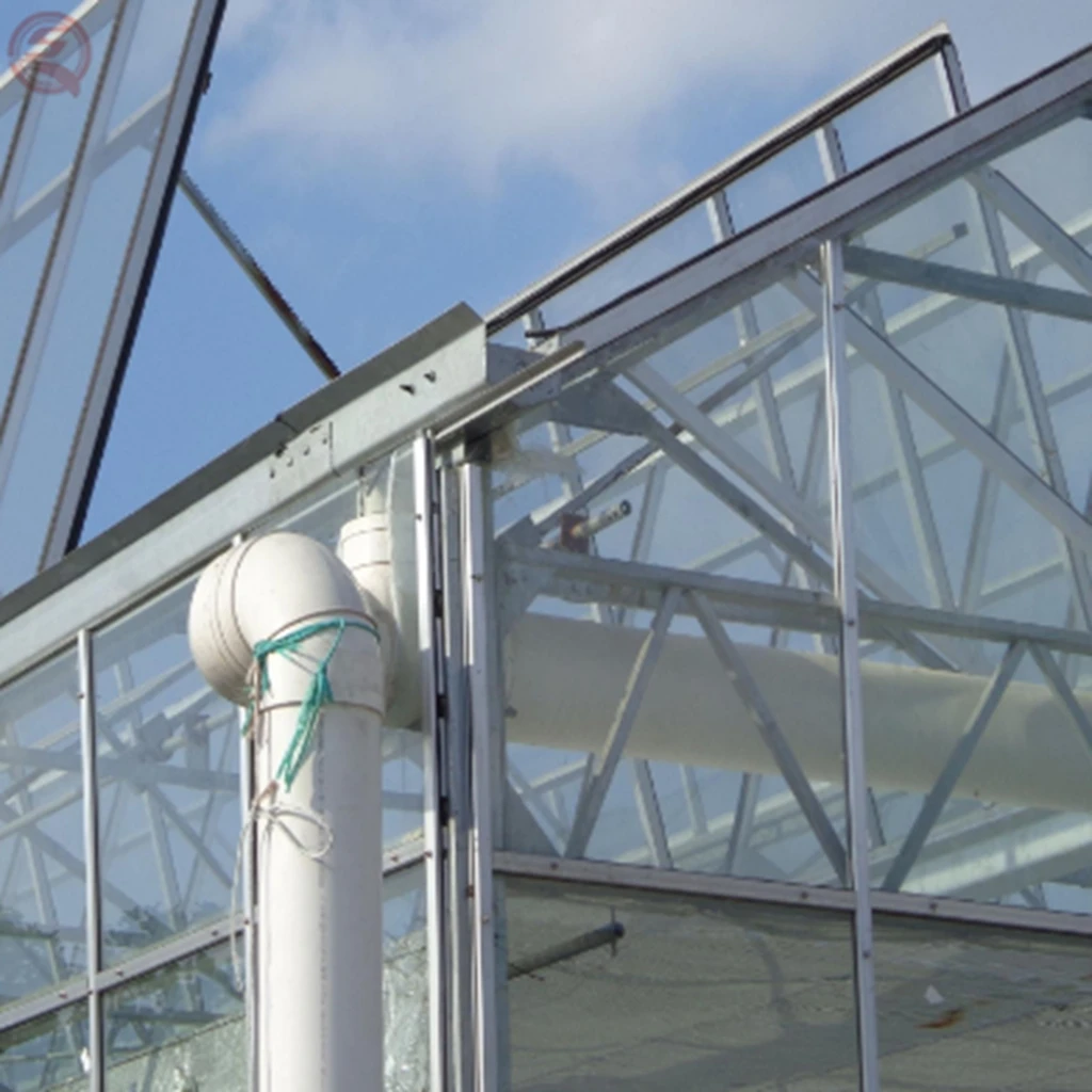  5mm Tempered glass high end agricultural crops and vegetables