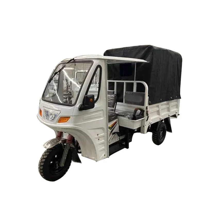 ZongShen CQ1 OEM High-quality Wholesale Motorized Tricycle Gasoline Engine Cargo Adult Enclosed Electric Delivery Trike