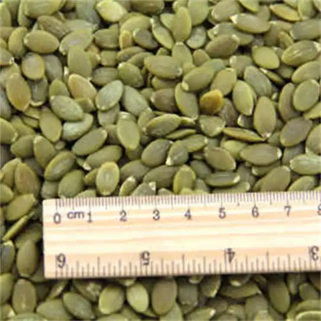 Wholesale Factory GWS Pumpkin Seed Kernel Organic and Healthy