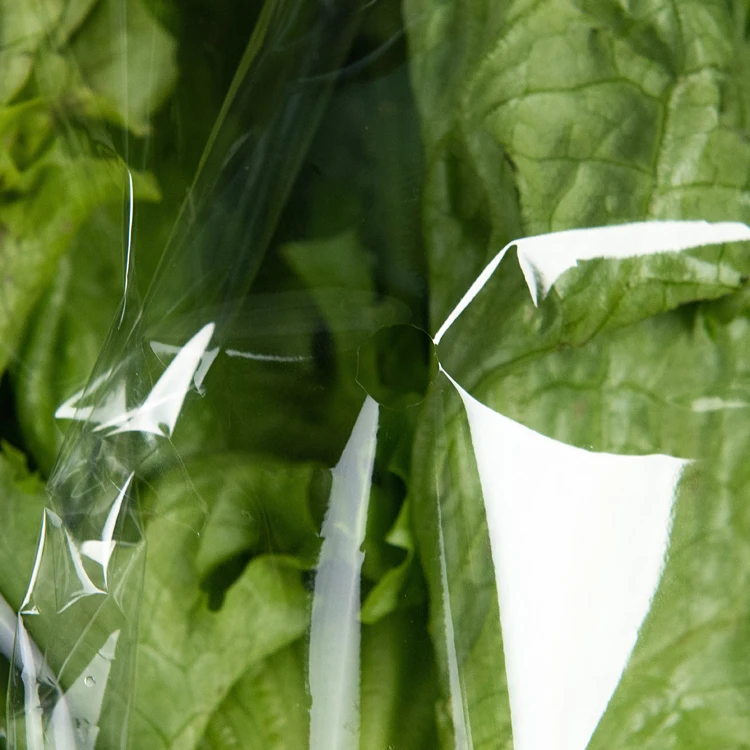 HOT SELL BOPP fresh food Bag