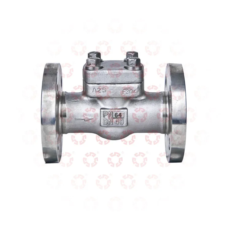 2 Inch 3 Inch 4 Inch Stainless Steel 304 316 Dn40 Pn64 Industrial Threaded Forged Shut off Valves Swing Check Valve