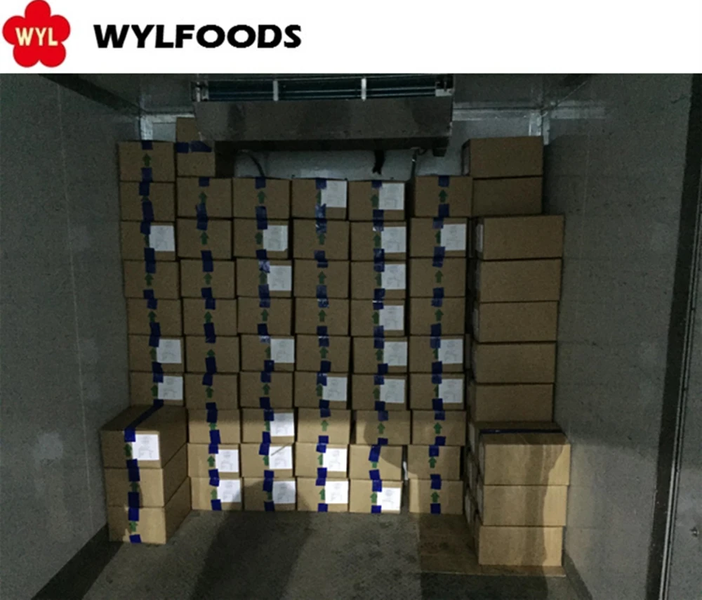 Hot selling IQF Fresh premium mushroom frozen oyster mushroom