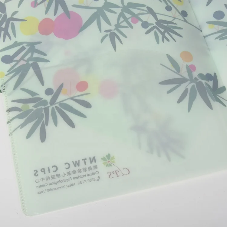 Рекламная Заказная Толстая пластиковая папка для файлов A4 PP с прозрачным карманом