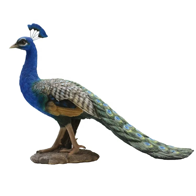 Статуя павлина из смолы, Реалистичная статуя павлина из смолы для украшения сада