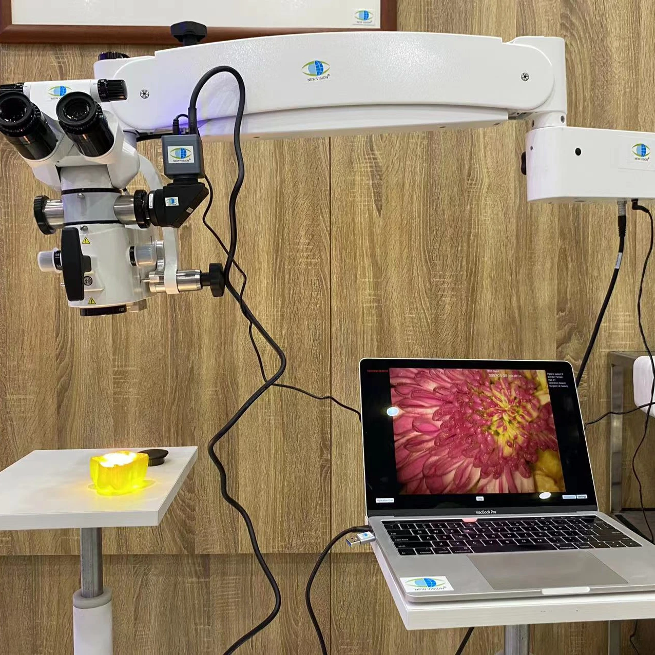 Portable Neurosurgical Surgical Microscope Neurosurgery Operation Microscope