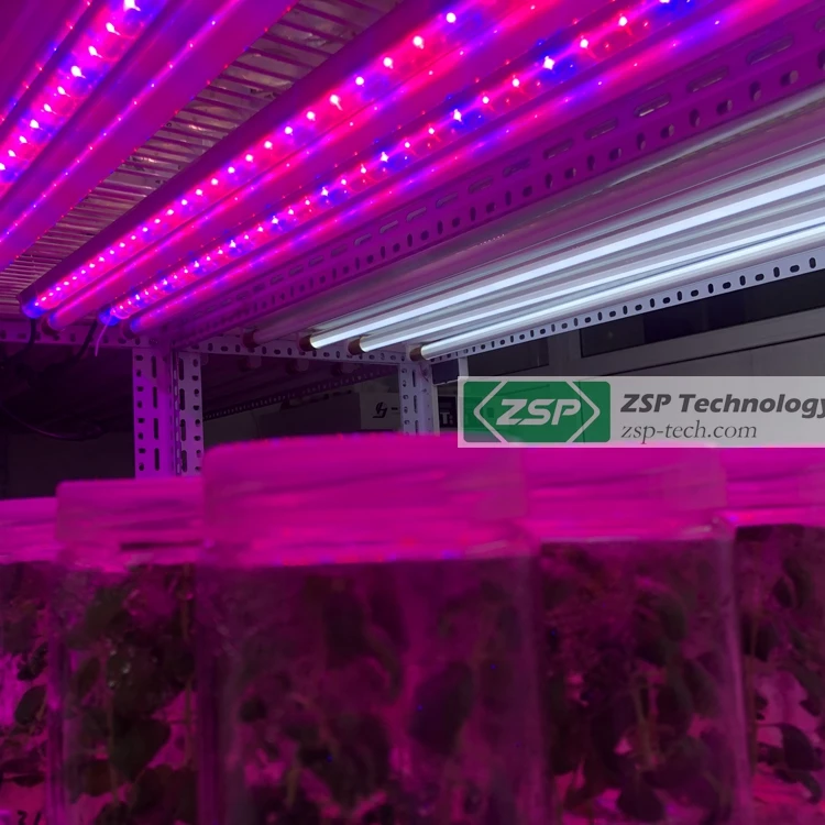 Factory sale plant strip bar for orchids tissue culture seedlings