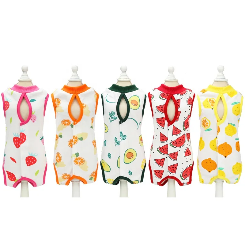Pet recovery clothes cute design fruit Watermelon,cat recovery suit wholesale anti-licking cat apparel sterilization clothes  (7).jpg