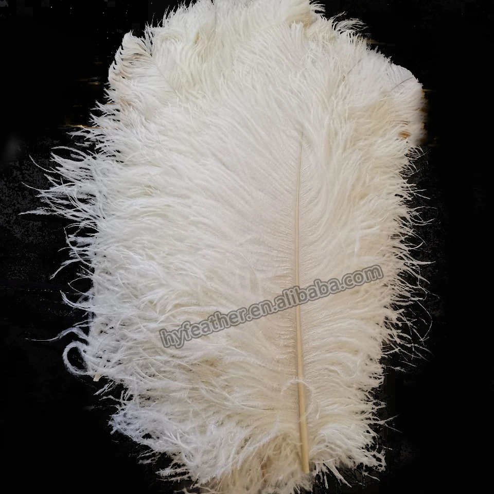 Wholesale DIY Artificial Feather Carnivel Costumes 24-26 Inch Dyed Black Plumes Large White Ostrich Feathers For Sale