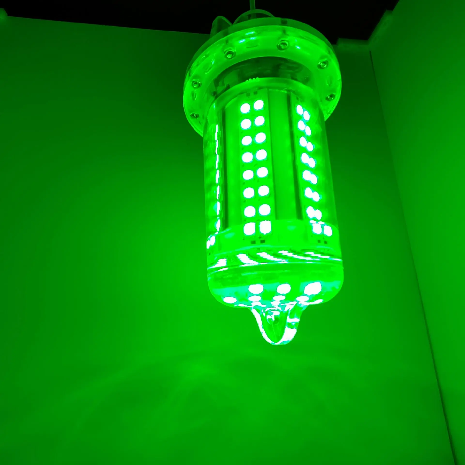 30W 80W 12W DC6V squid led light IP68 High Power LED Fish Attracting Bait Submersible Underwater Fishing Light