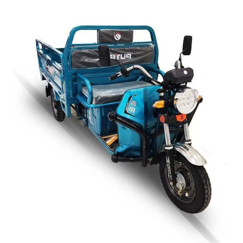 1000W wholesaler adults Multi-functional convenience tricycle electric bike electric cargo tricycle Triciclo Electrico