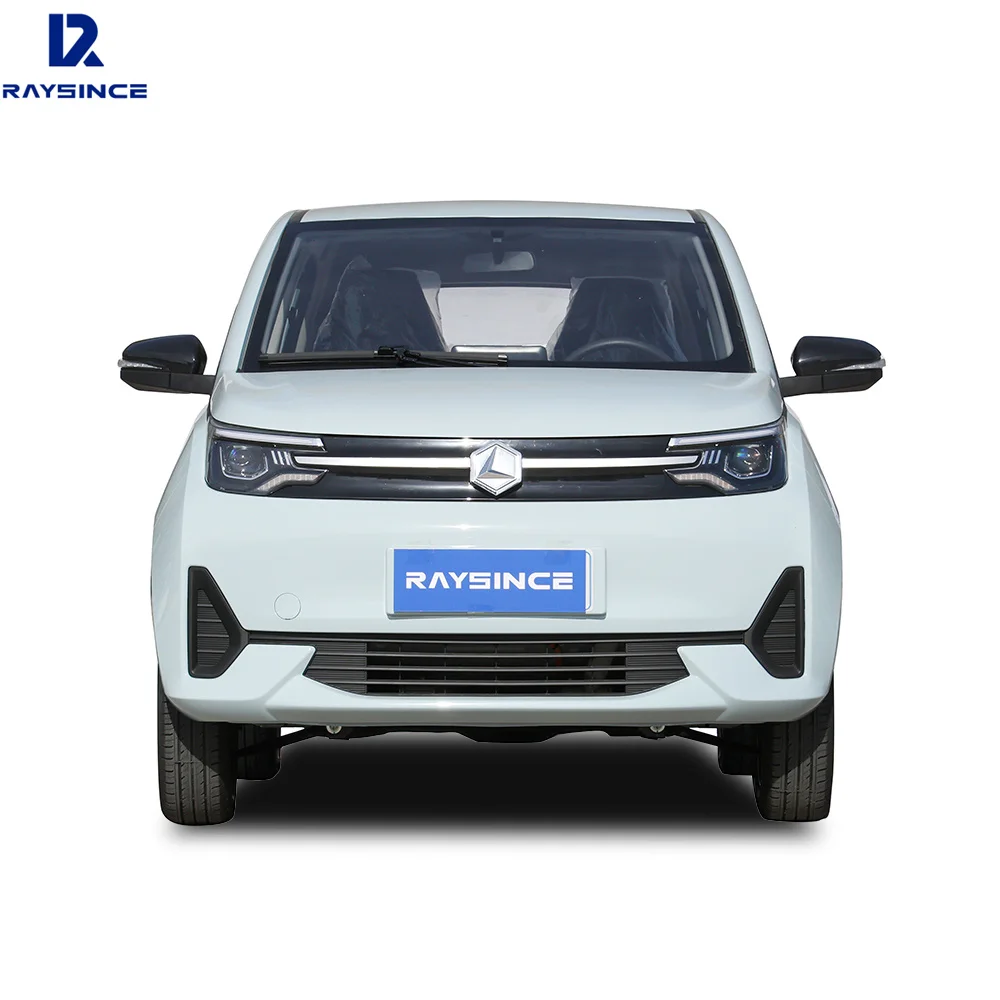 Raysince Four Wheel Car Small Electric Cars for Adults