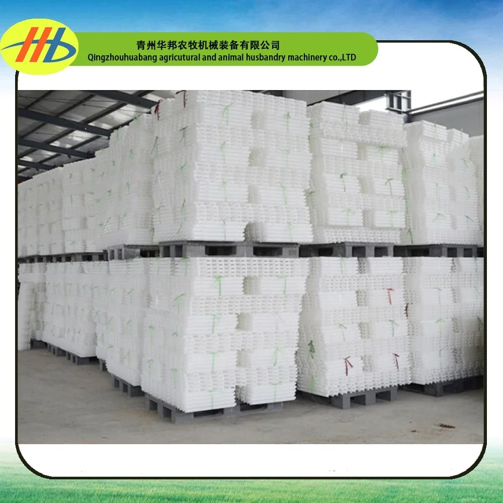 poultry farming plastic raised slat floor for broiler and breeder chicken farm house