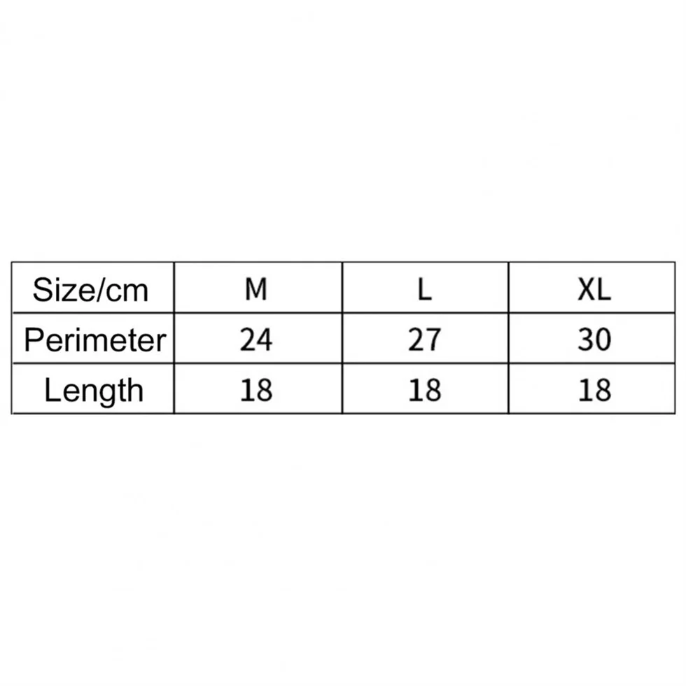 M L XL Running Arm Bag Phone Sport Accessories Fitness Bag Arm Case Running Belt Gym Cell Phone Armband