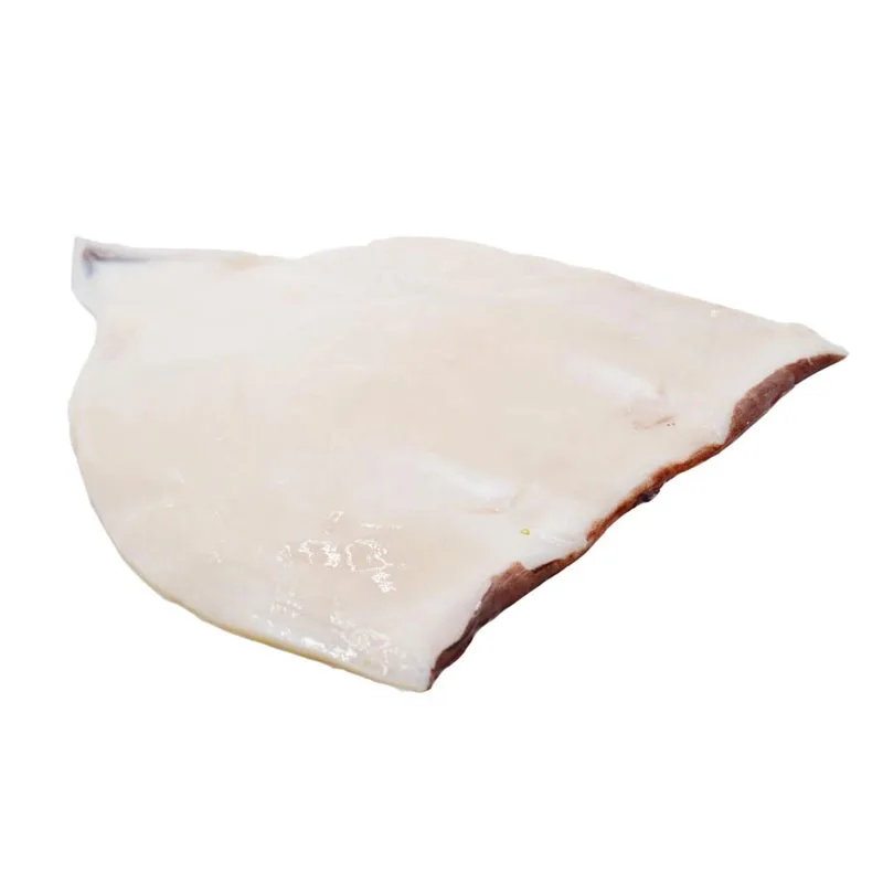 Good quality Frozen Squid fillet customized Illex squid Todarodes squid