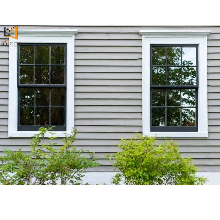 Tegood  easy clean double tilting Manual lifting aluminum double hung windows for ventilation