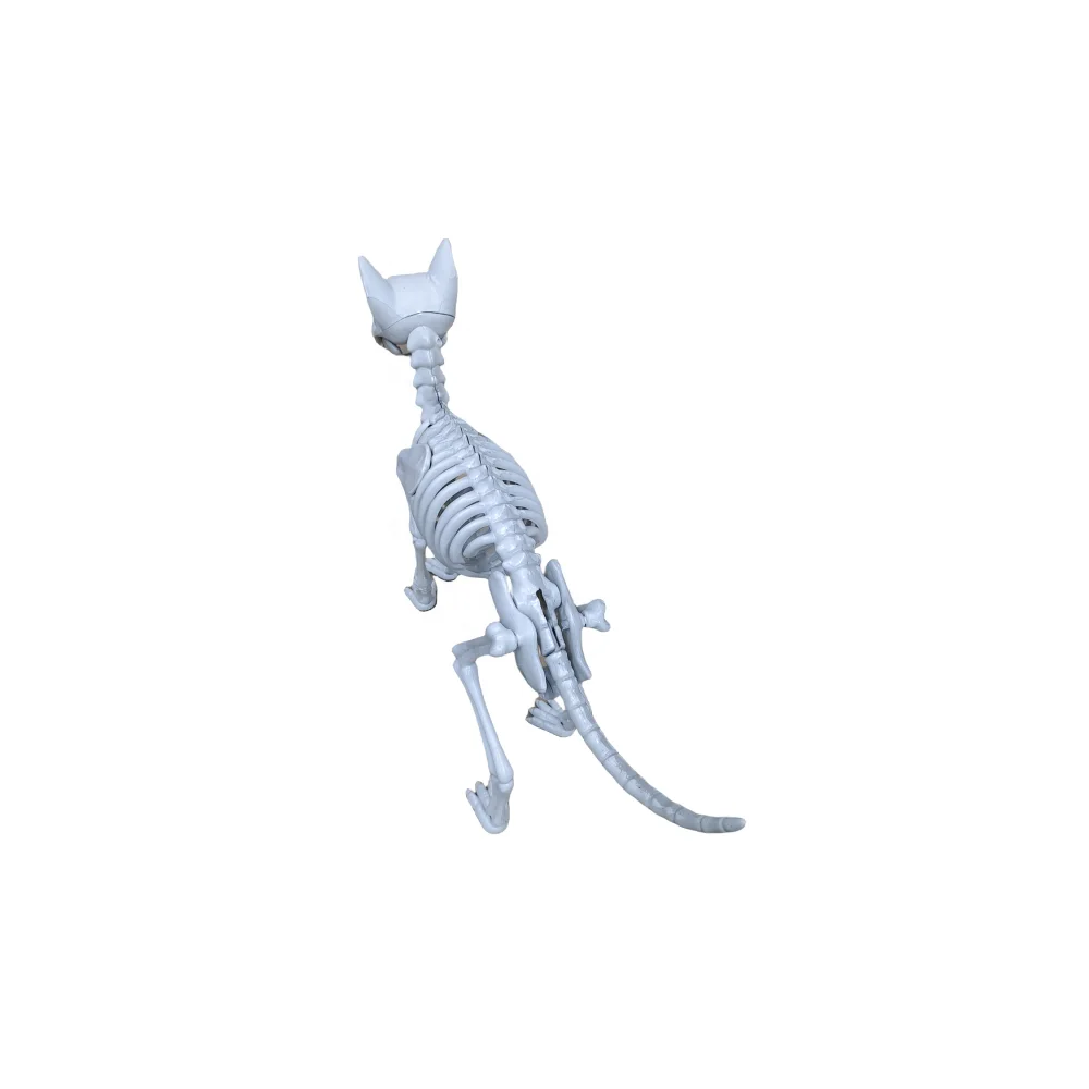 Halloween Plastic Activity Skeleton Cat Animal Skeleton Halloween Horror Decor
