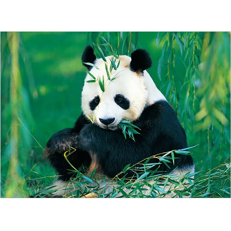 Fine art animal world intelligence 1000 piece jigsaw puzzle game for adult